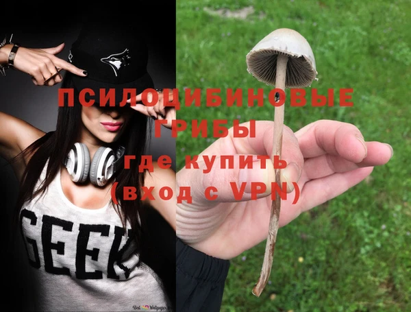 прущий лед Аркадак