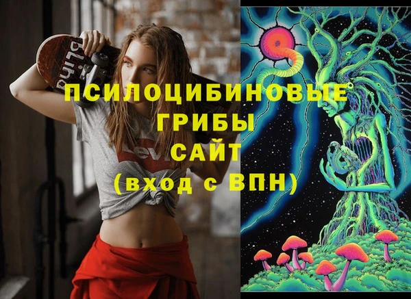 прущий лед Аркадак