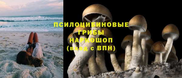 таблы Пересвет
